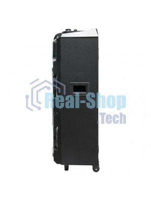 Колонка Eltronic 10