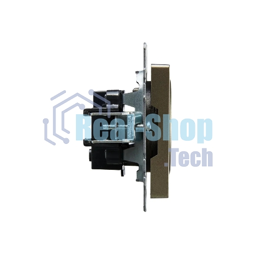 Розетка 1-местная IEK BRITE РС10-1-0-БрШ (BR-R10-10-K37) 10А, без заземления, без защитных шторок, шампань