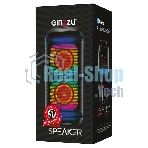 Портативная колонка GINZZU GM-113