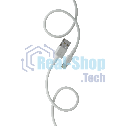 Сетевое зарядное устройство MORE CHOICE (4610196409028) NC11i СЗУ 2USB 2.4A для Lightning 8-pin белый