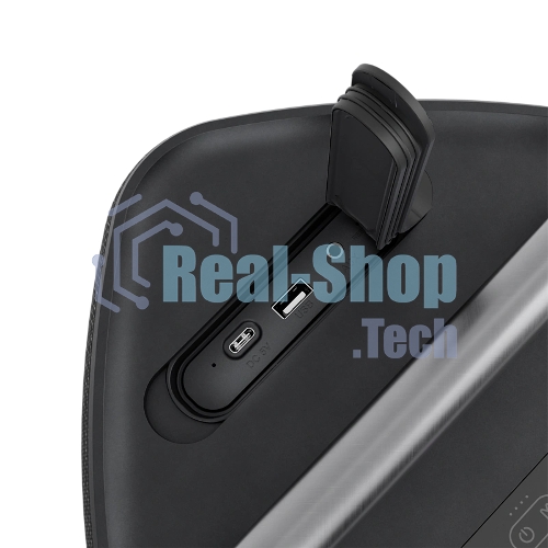 Колонка портативная Ural Молния Бит черный 420W 1.1 BT/3.5Jack/USB-C 10м 8000mAh (без.бат)