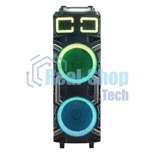 Колонка Eltronic 10