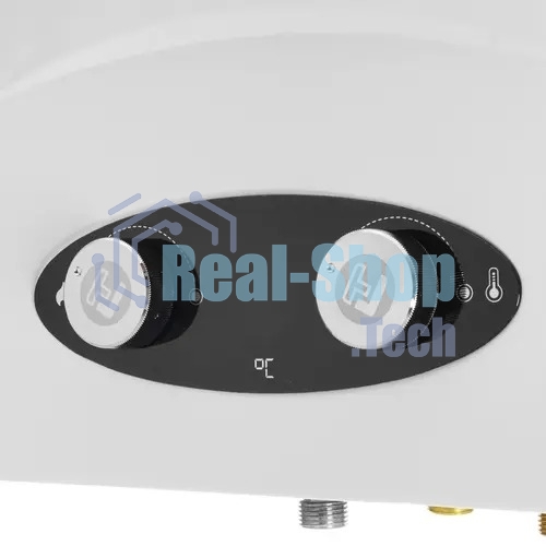 Колонка газовая Thermex G 20 D Eco белый