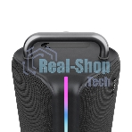 Колонка портативная Ural Молния Бит черный 420W 1.1 BT/3.5Jack/USB-C 10м 8000mAh (без.бат)