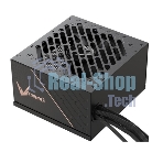 Блок питания Formula V Line FV-750BD, 750W, ATX3.1/PCIe5.1, APFC, 80+ Bronze, 12cm Fan