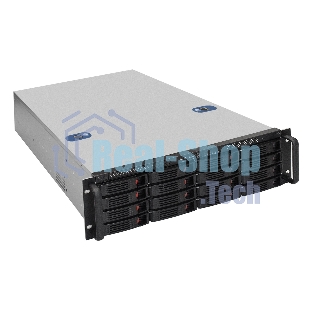 Серверная платформа ExeGate EX292421RUS Pro 3U660-HS16 (RM 19