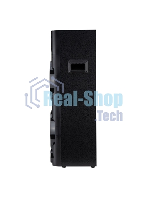 Колонка Eltronic 10