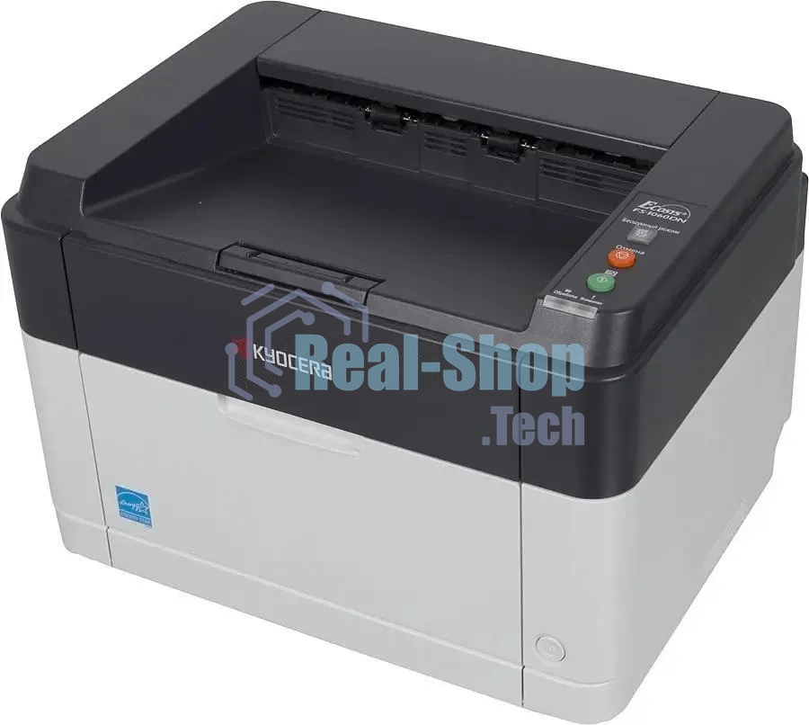 Принтер лазерный Kyocera Ecosys FS-1060dn (1102M33RU0), A4, ч/б, печ. до 25 стр/мин., 600 x 1200 dpi, USB, RJ-45