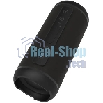 Портативная колонка Ritmix SP-320B черный