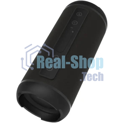 Портативная колонка Ritmix SP-320B черный