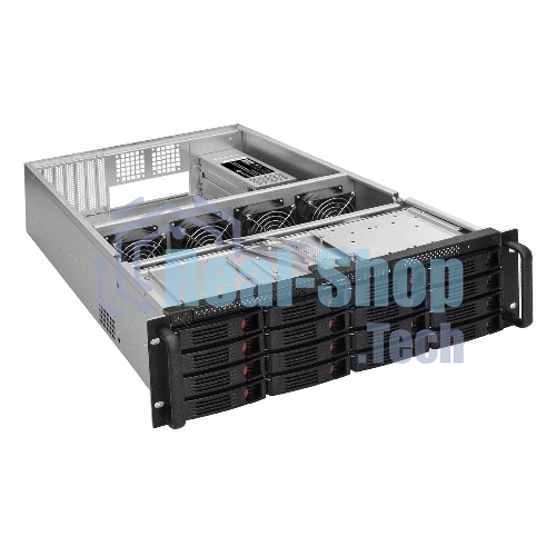 Серверная платформа ExeGate EX292421RUS Pro 3U660-HS16 (RM 19