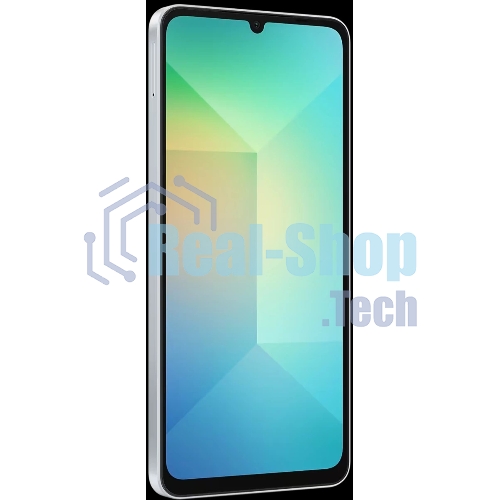 Смартфон Samsung Galaxy A06 SM-A065F 4/64Gb голубой