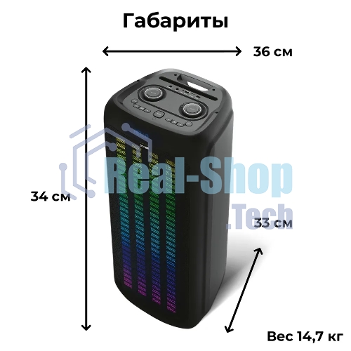 Портативная Bluetooth-колонка BQ PBS2010 черный 100 Вт