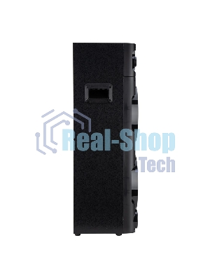 Колонка Eltronic 10