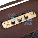Колонка Eltronic MONSTER BOX 850 (30-15) TWS (коричневый)