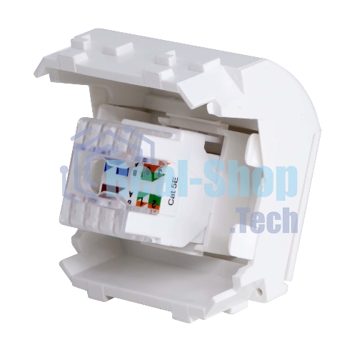 Розетка компьютерная DKC Brava 76655B R J 45 кат. 5e, белая, 2 мод