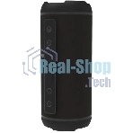 Портативная колонка Ritmix SP-320B черный