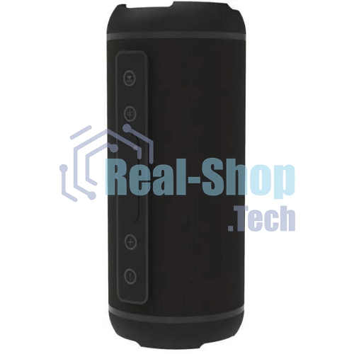 Портативная колонка Ritmix SP-320B черный