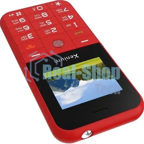 Мобильный телефон Xenium X718 красный