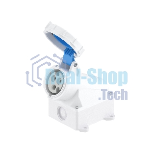Розетка наружная DKC DIS5181653T 16А 230В 2P+E IP67