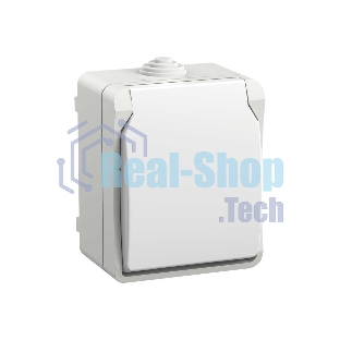 Розетка IEK ERS12-K01-16-54-DC ОП Форс РСб20-3-ФБ 16А IP54 с заземл. защ. шторки белый
