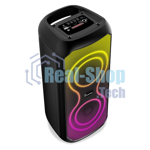 Портативная акустика Smartbuy ARISAKA 2