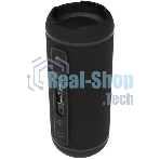 Портативная колонка Ritmix SP-320B черный