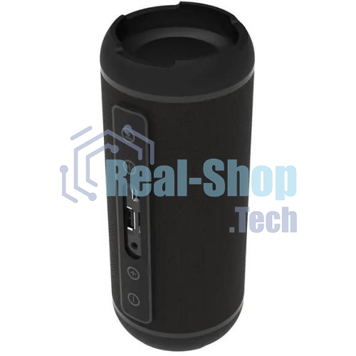 Портативная колонка Ritmix SP-320B черный
