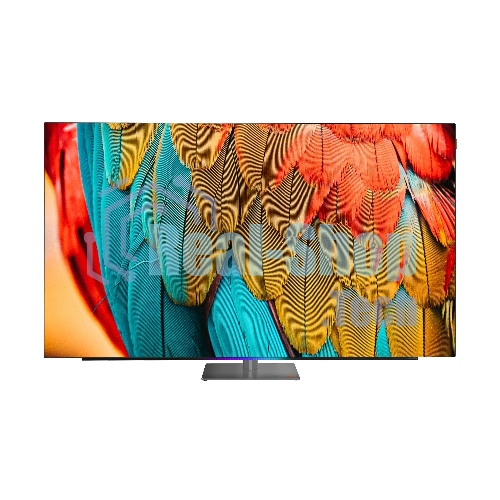 Телевизор Skyworth 55