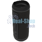 Портативная колонка Ritmix SP-320B черный