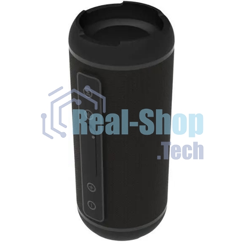 Портативная колонка Ritmix SP-320B черный