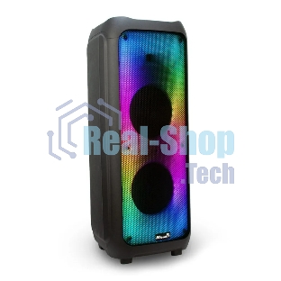 Колонка Eltronic 10