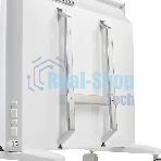 Конвектор электрический Electrolux ECH/AS2 -2000 ER белый, 2000 Вт, 25 м2, термостат, дисплей