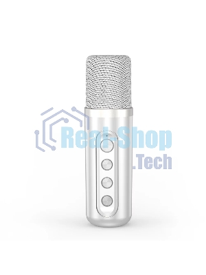Переносная караоке система TRS2403 iconBIT K902W Колонка 10Вт, 2 микрофона Bluetooth, световые эффекты, аккумулятор в колонке 3000mAh и микрофонах, 22.3*9.6*15.7CM, белый