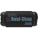 Портативная колонка Ritmix SP-320B черный