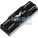 Комплект охлаждения M.2 SSD, ARGb, G560TP03ARGb010 Комплект охлаждения M.2 SSD cooling kit with ARGb lighting