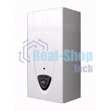 Газовая колонка Ariston ABS Fast Evo 11 B FAST EVO ONT B 11 NG RU, газовый