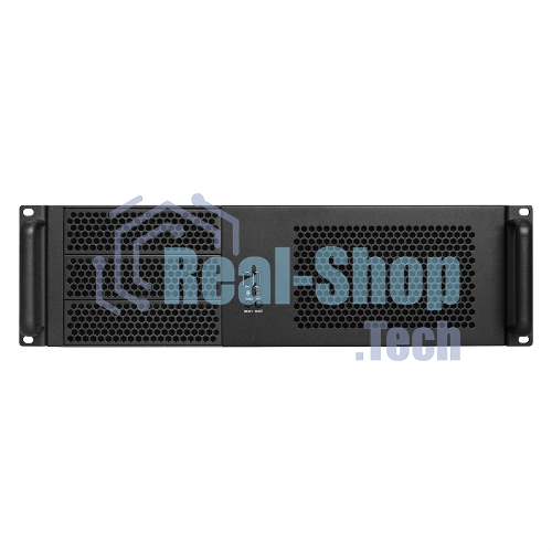 Серверный корпус ExeGate Pro EX293187RUS 3U390-08 (RM 19