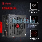 Блок питания Bloody BD-PS700W, 700Вт, 80 PLUS WHITE, 120мм, черный