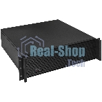 Серверный корпус ExeGate Pro EX293204RUS 3U450-08 (RM 19
