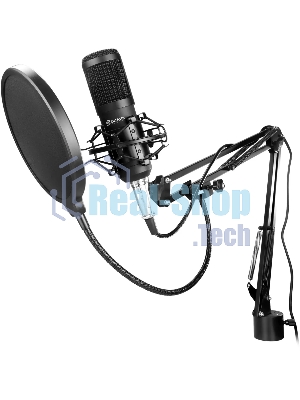 Микрофон проводной Оклик SM-600G 2.5м черный
