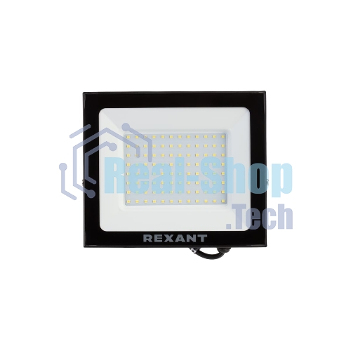 Прожектор светодиодный Rexant 605-005 100 Вт 200–260В IP65 8000 лм 6500 K холодный свет
