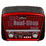 Радиоприемник Ritmix RPR-050 RED