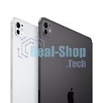 Планшет Apple iPad Pro 2024 A2837 11