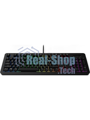 Клавиатура Lenovo Legion K310 проводная, USB Type-A, чёрный