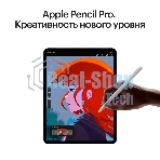 Планшет Apple iPad Pro 2024 A2837 11