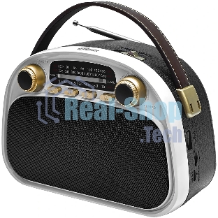 Радиоприемник Ritmix RPR-040 белый