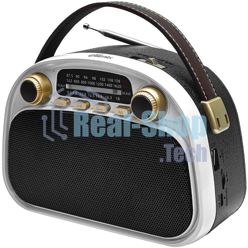 Радиоприемник Ritmix RPR-040 белый