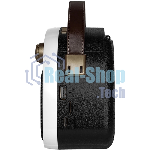 Радиоприемник Ritmix RPR-040 белый