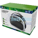 Радиоприемник Ritmix RPR-040 белый